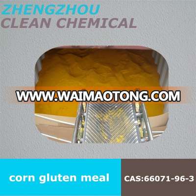 corn gluten meal 60% for animal feed